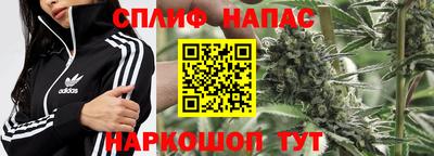 jwh Краснодар