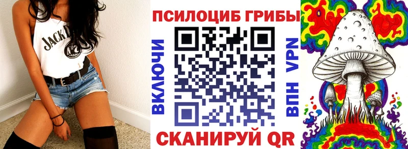 купить   Нижний Тагил  Галлюциногенные грибы Magic Shrooms 