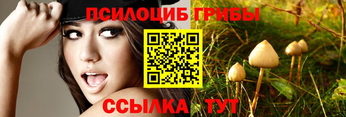 Галлюциногенные грибы прущие грибы Нижний Тагил